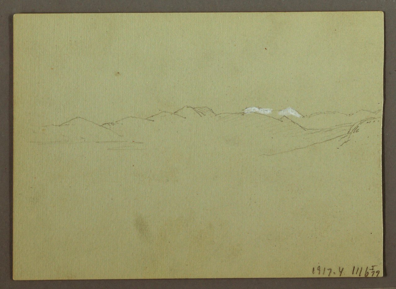 Pflanzen- und Landschaftsstudie von Frederic Edwin Church