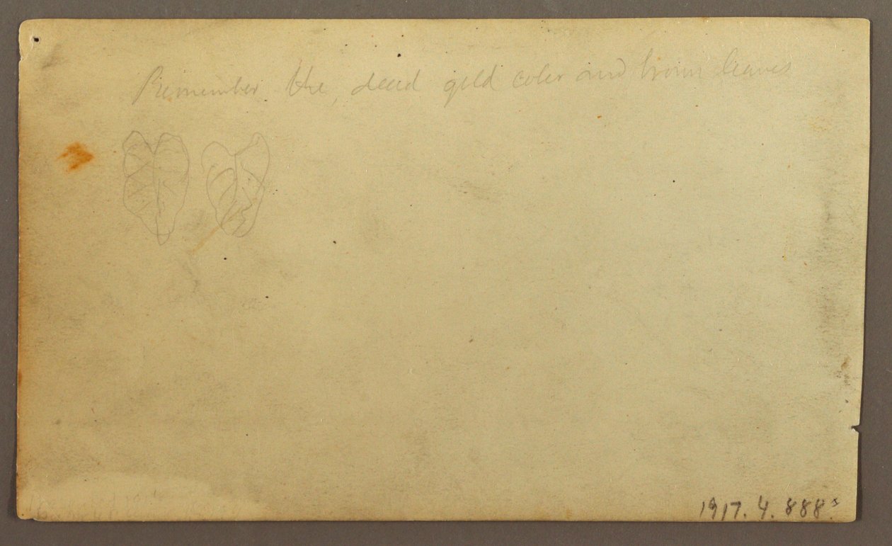 Fluss Limona in der Nähe eines Dorfes, Ecuador oder Kolumbien; Verso: Blätter, 1857 von Frederic Edwin Church