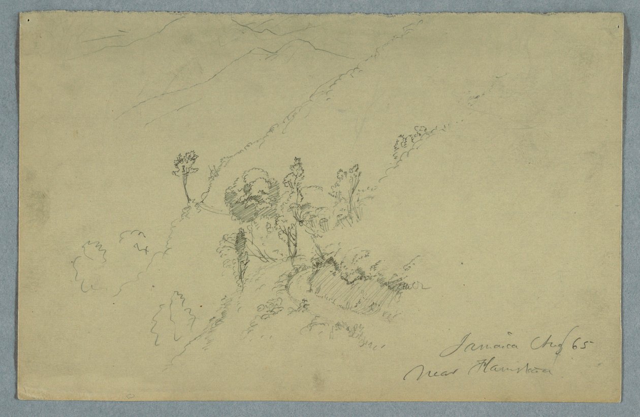 Straße durch die Blue Mountains, in der Nähe von Homestead, Jamaika, August 1865 von Frederic Edwin Church