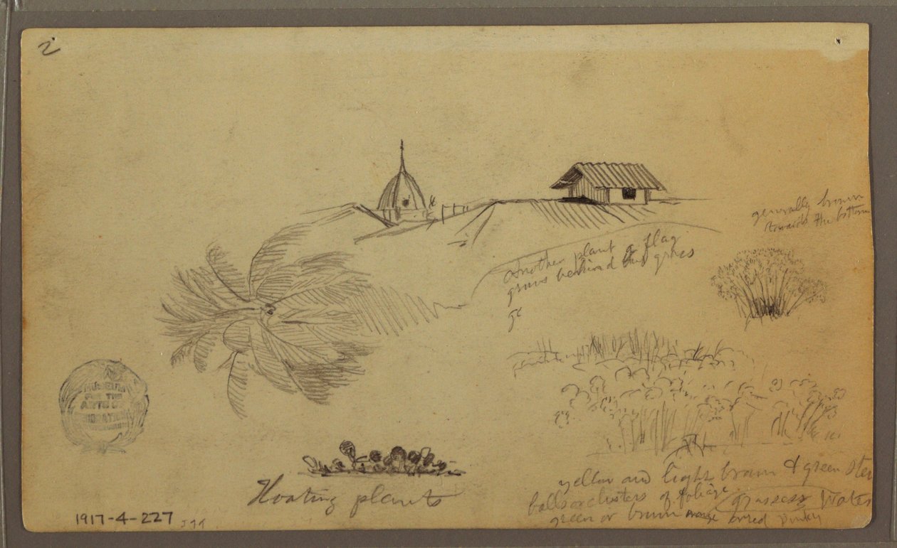 Himmel über dem Meer; Verso: Botanische Skizzen, Dächer, Mai 1857 von Frederic Edwin Church