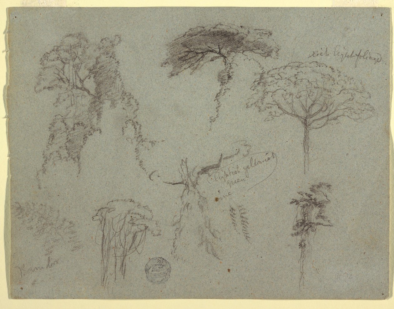 Studien von Bäumen, Ecuador, 1853 von Frederic Edwin Church