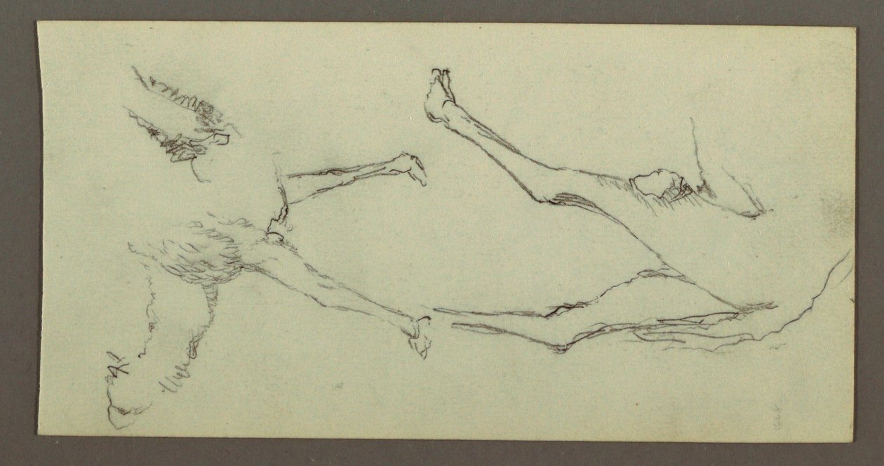Studie von Kamelbeinen, möglicherweise 1868 von Frederic Edwin Church