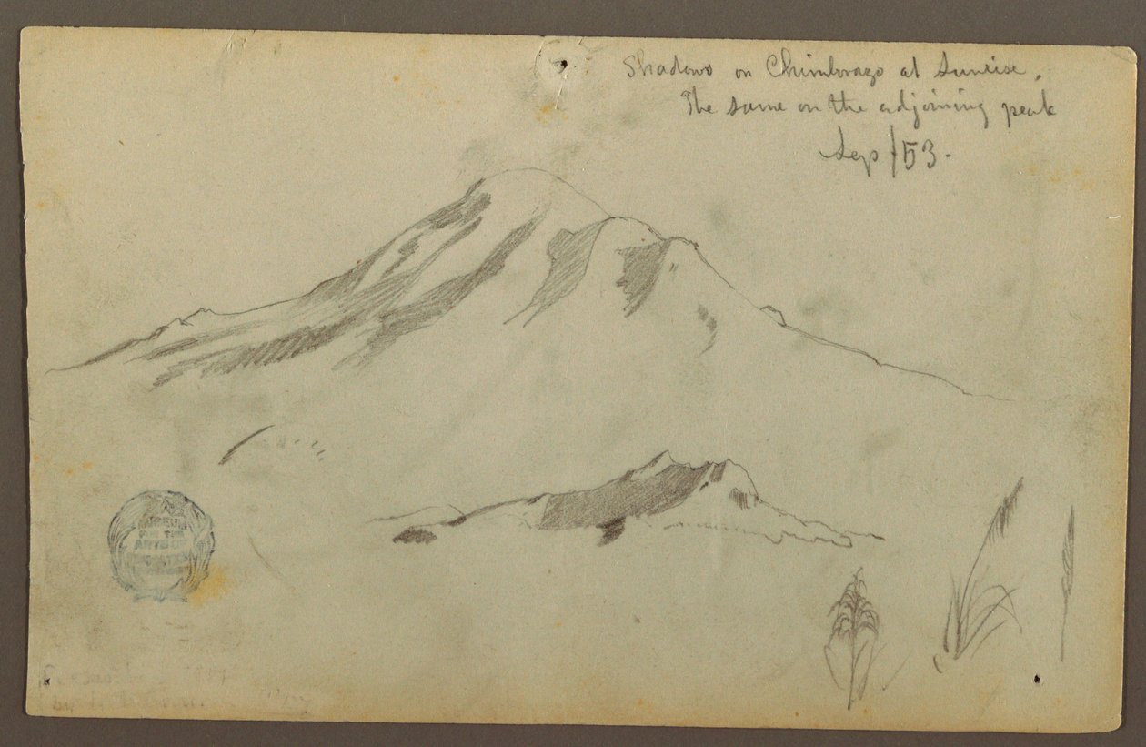 Sonnenaufgang auf dem Mt. Chimborazo und drei Details von Gras von Frederic Edwin Church