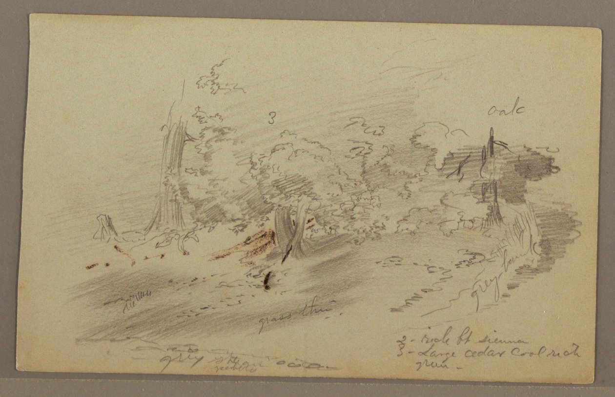 Bäume, möglicherweise 1860er Jahre von Frederic Edwin Church