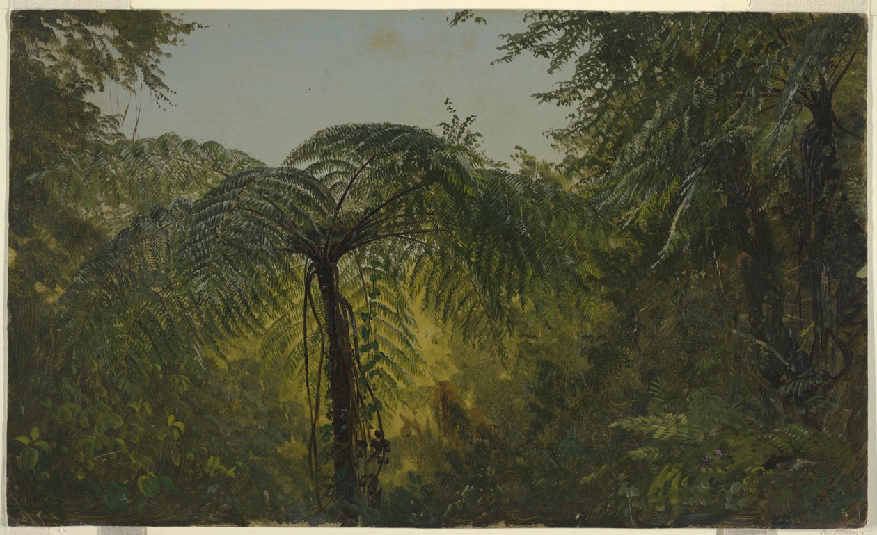 Tropische Landschaft, Juni oder Juli 1865 von Frederic Edwin Church