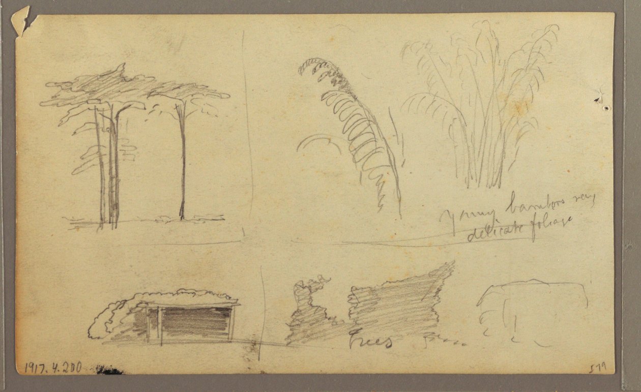 Ansichten des Ostufers des Guayas-Flusses, gegenüber von Guayaquil, Ecuador, Mai 1857 von Frederic Edwin Church