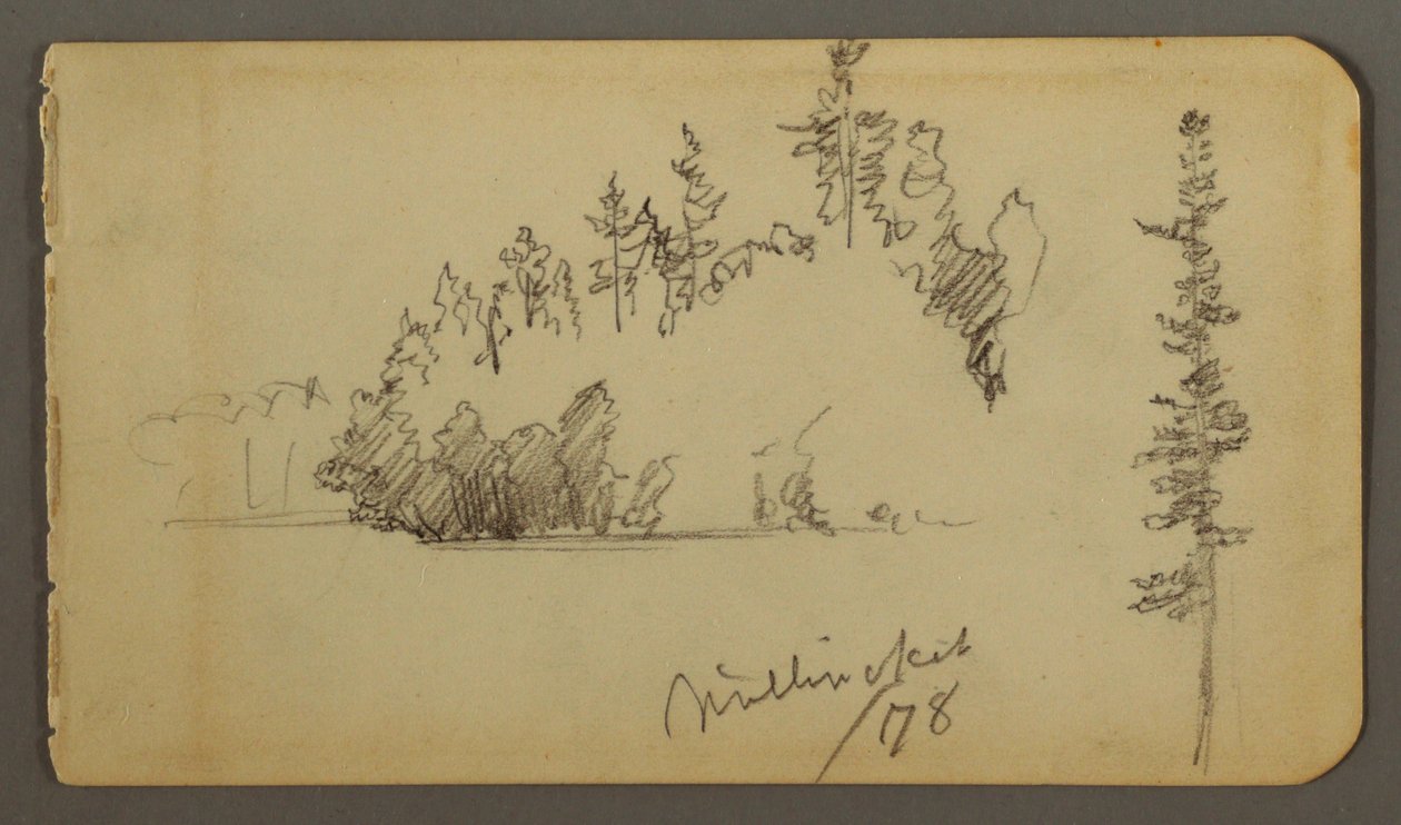 Zeichnung, bewaldetes Ufer, Baumstudie, 1878 von Frederic Edwin Church