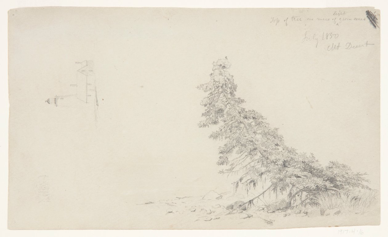Immergrüner Baum in der Nähe des Ufers mit einem Detail des Leuchtturms und eines Hauses, Mount Desert, Maine von Frederic Edwin Church