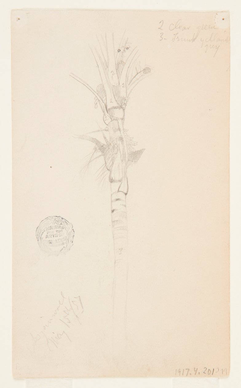 Blätter und Stamm einer Palme, Aspinwall, Panama von Frederic Edwin Church