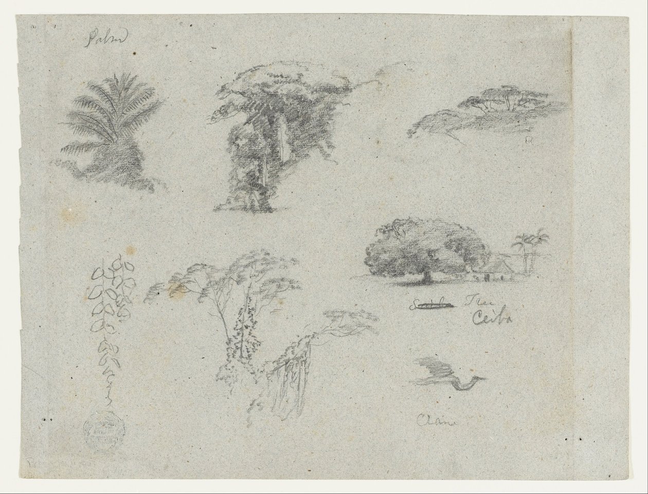 Skizzen aus Südamerika. Botanische Skizzen. Fliegender Kranich. von Frederic Edwin Church