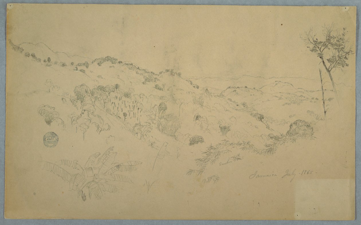Bewaldetes Tal mit einem großen Farn und fernen Bergketten, Jamaika von Frederic Edwin Church
