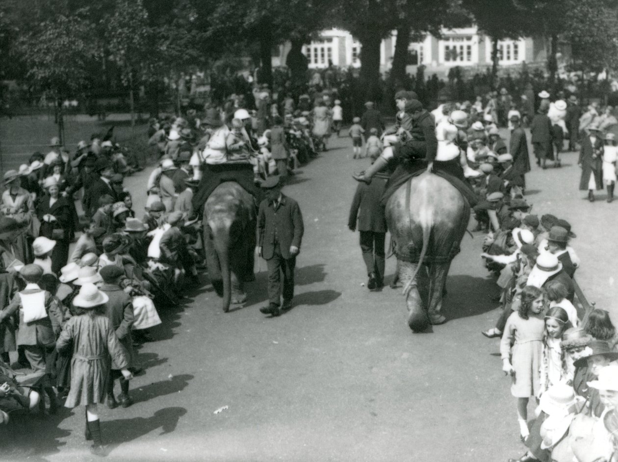 Asiatische Elefantenfahrten mit Zuschauermengen im London Zoo, 1922 von Frederick William Bond