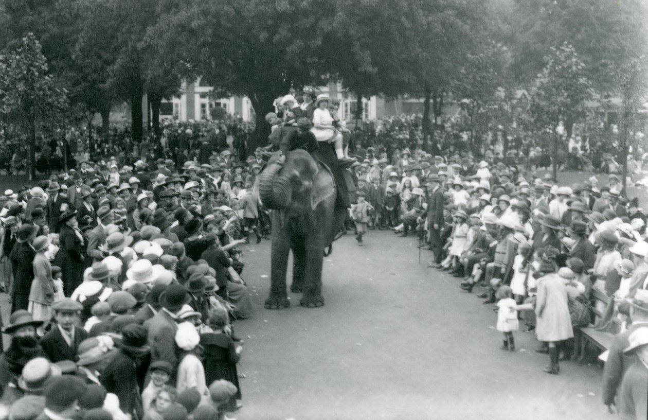 Menschenmengen beobachten eine Elefantenfahrt im Londoner Zoo, August Bank Holiday, 1922 von Frederick William Bond