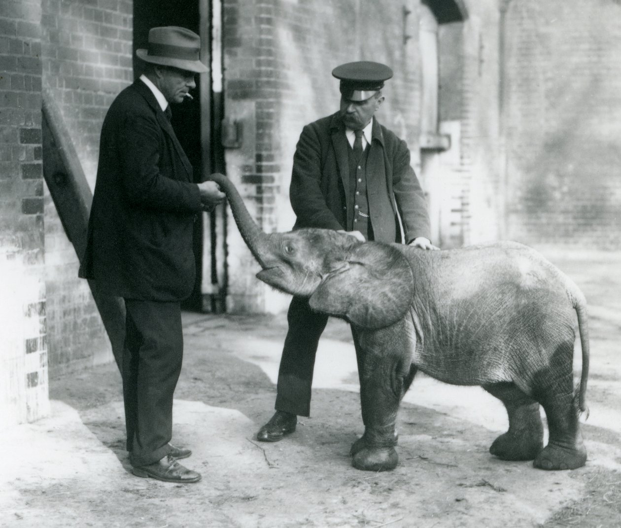 Neu angekommener Baby-Zwergelefant Tiny, mit ihren Pflegern Robertson, Stimpson und Milbourn im London Zoo, 1922 von Frederick William Bond