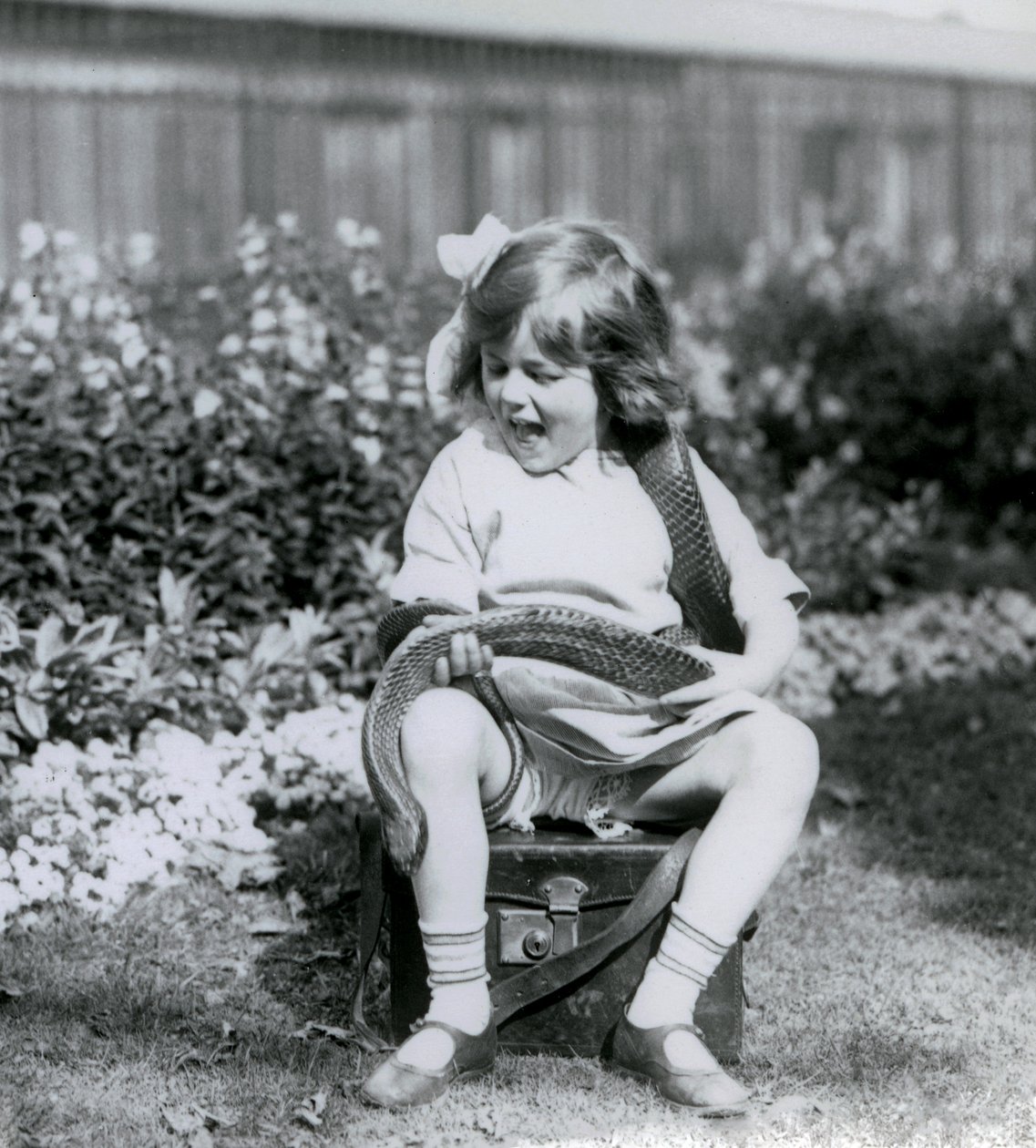 Ein junges Mädchen, Betty, hält eine östliche Indigo-Schlange, während sie auf einem Lederkoffer sitzt, Londoner Zoo, 1924 von Frederick William Bond
