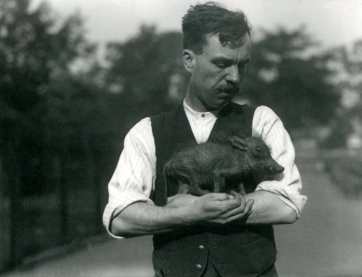 Wärter Harry Warwick wiegt ein Baby-Warzen in seinen Armen im Londoner Zoo, August 1922 von Frederick William Bond