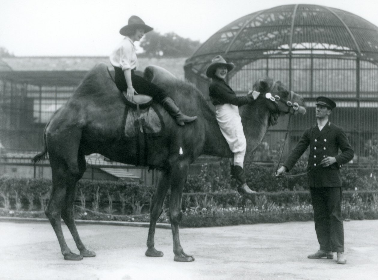 Zwei Cowgirls posieren auf einem zweihöckrigen Kamel, das von seinem Wärter gehalten wird, während eines Besuchs im Londoner Zoo 1924 von Frederick William Bond