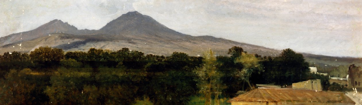 Umgebung des Vesuvs von Frederico Rossano