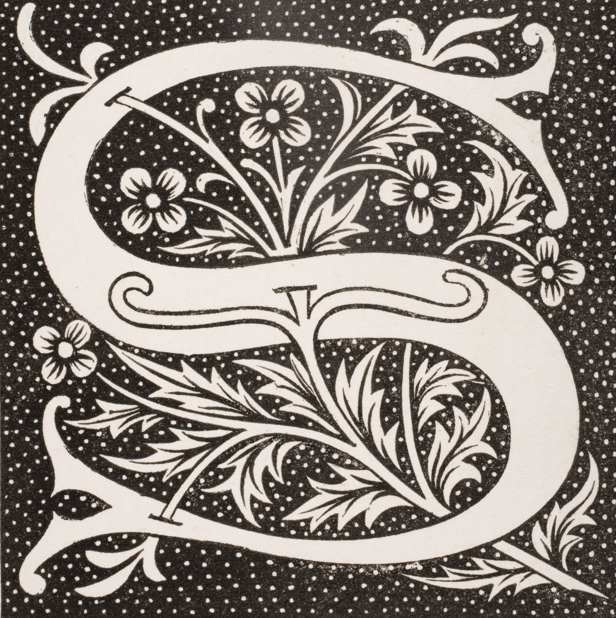 Verzierte Buchstabe 