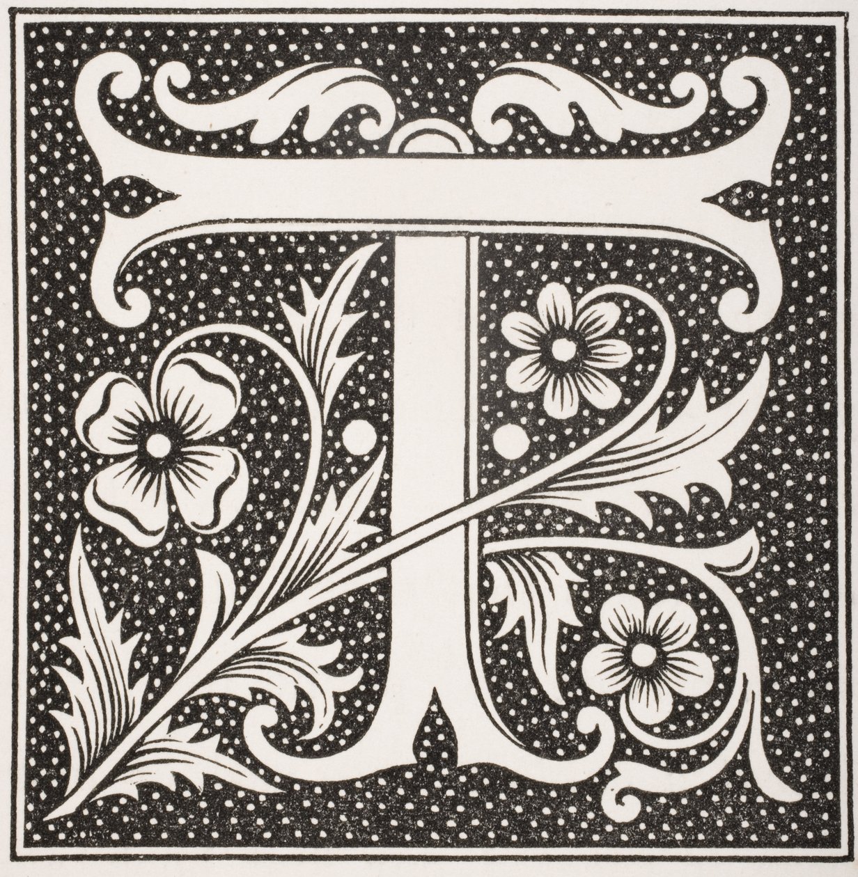 Verzierte Buchstabe 