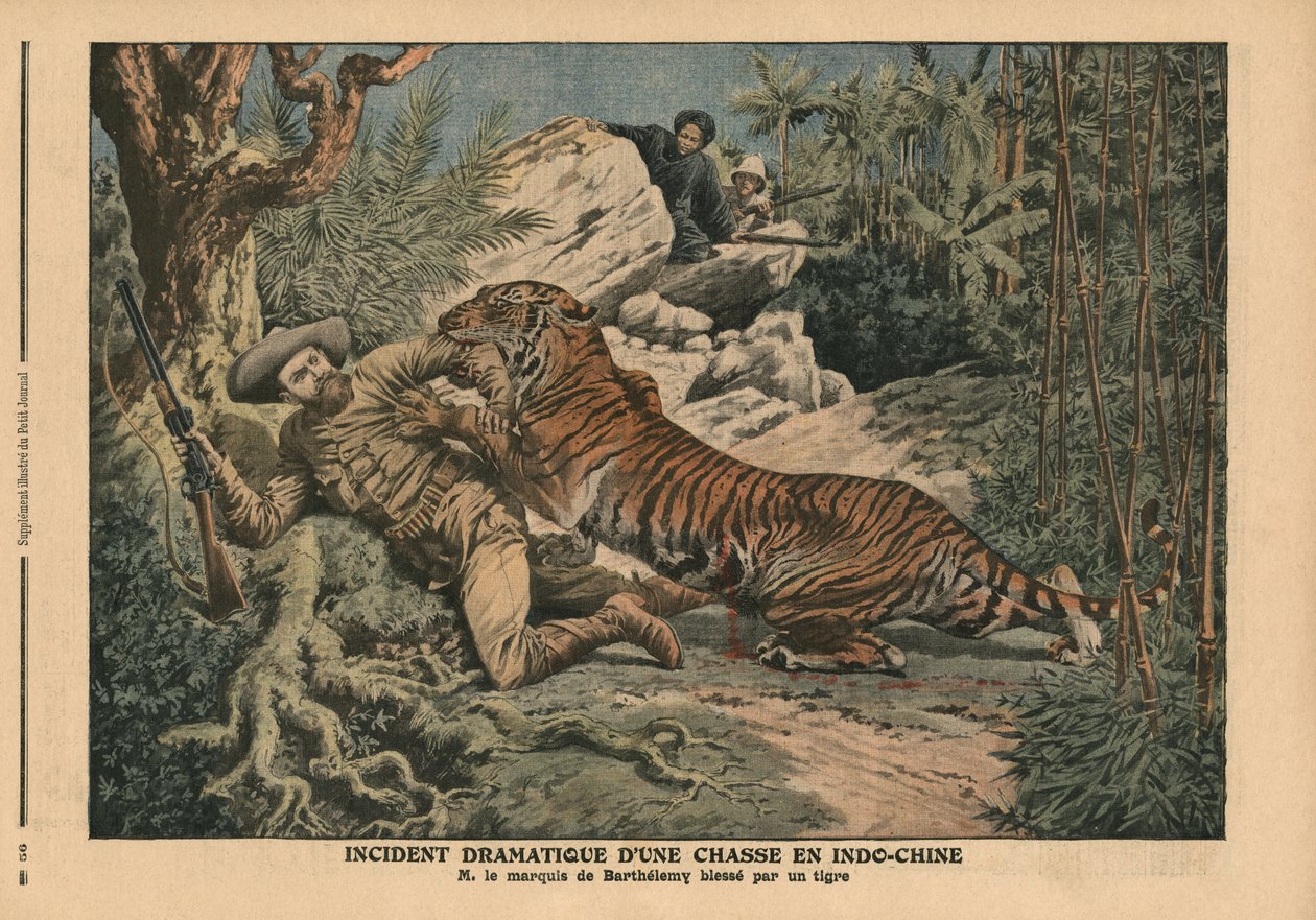 Marquis von Barthelemy von einem Tiger verwundet, Illustration aus 