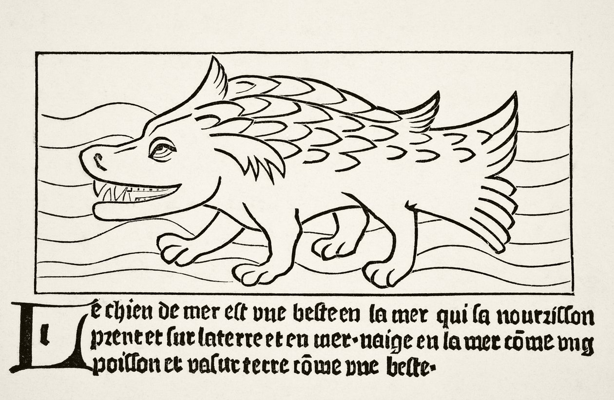 Der Seefahrer, aus 