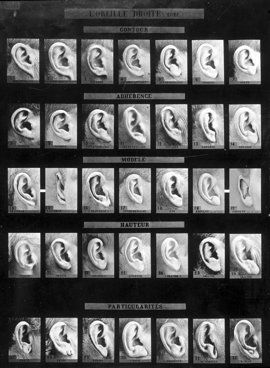 Anthropometrische Klassifikation und Identifikation des Bertillon-Systems: Vergleich verschiedener Arten von geraden Ohren (Lappen). Spät 19. Jahrhundert von French Photographer
