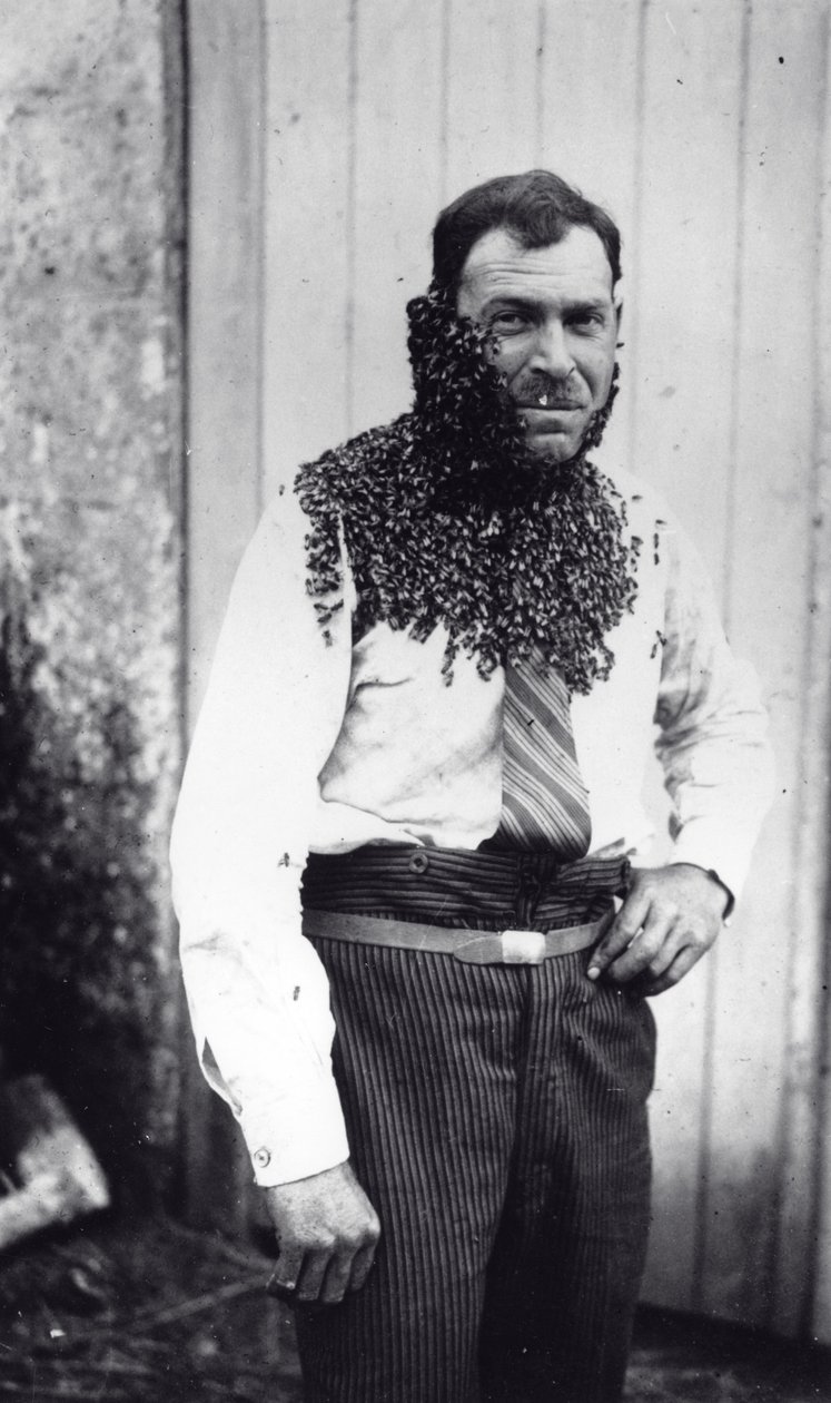 Imker Angel Peuchaud bedeckt mit Bienen in Angoulême, Charentes, Frankreich von French Photographer