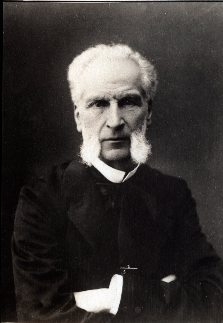 Porträt von Aime Joseph Edmond Rousse (1817-1906), französischer Anwalt von French Photographer