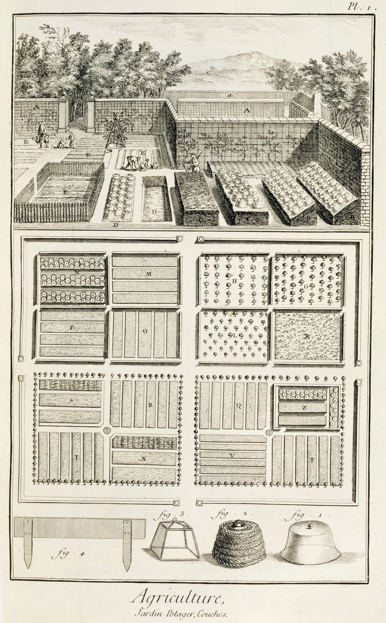 Ein Gemüsegarten, aus der Enzyklopädie der Wissenschaft, Kunst und Technik von Denis Diderot (1713-84), ca. 1770 von French School
