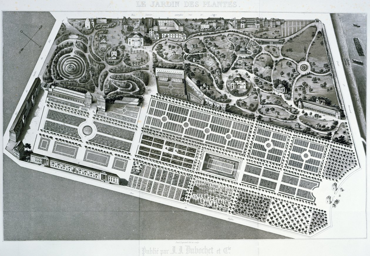 Luftaufnahme des Plans des Jardin des Plantes in Paris, 1842 von French School
