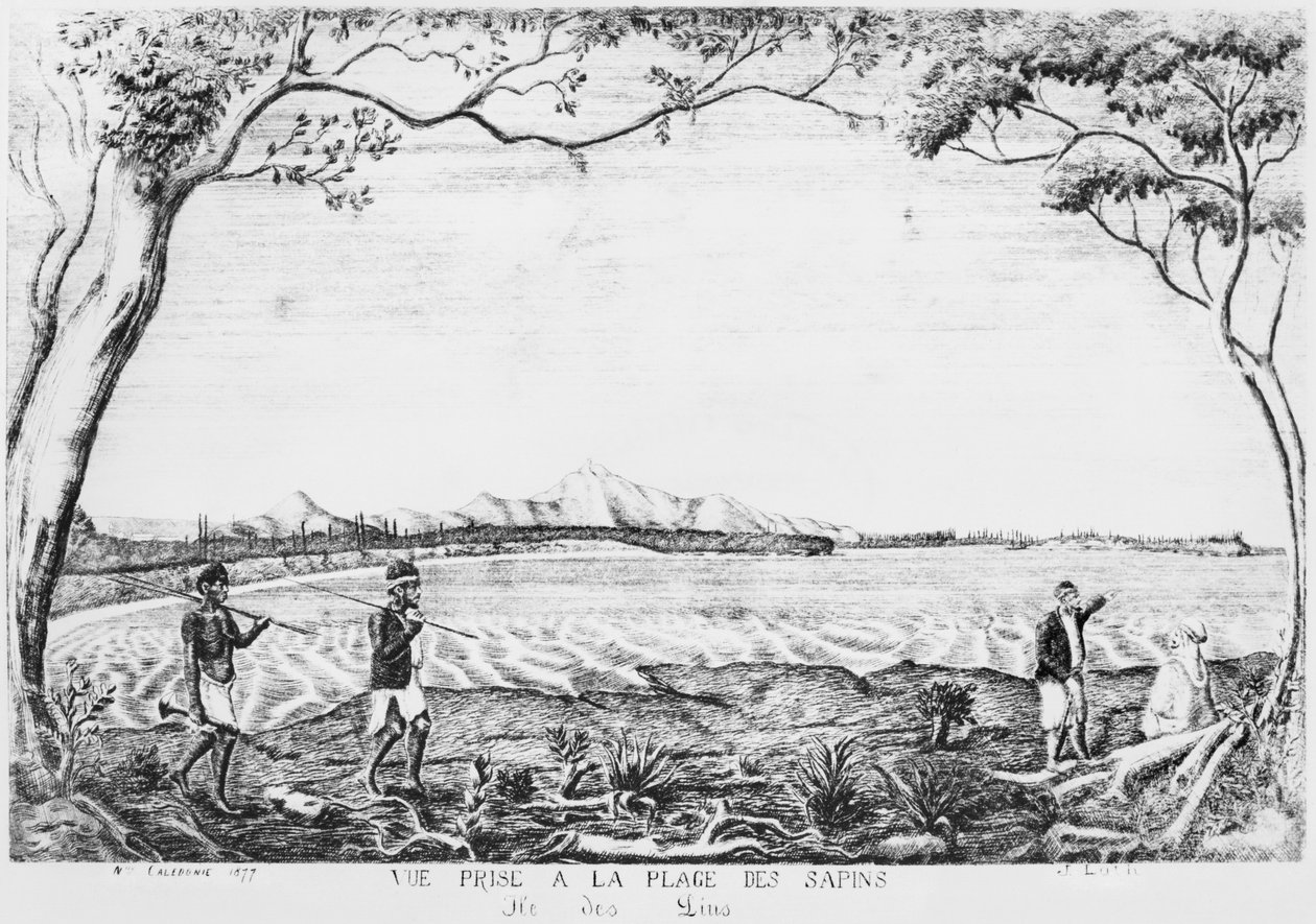Album der Isle of Pines, Ansicht vom Strand der Pines, 1877 von French School