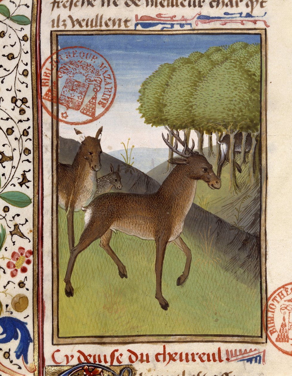Hirsche und Rehe - aus „The Hunting Book of Gaston Phoebus, Count of Foix, Lord of Béarn“ von French School