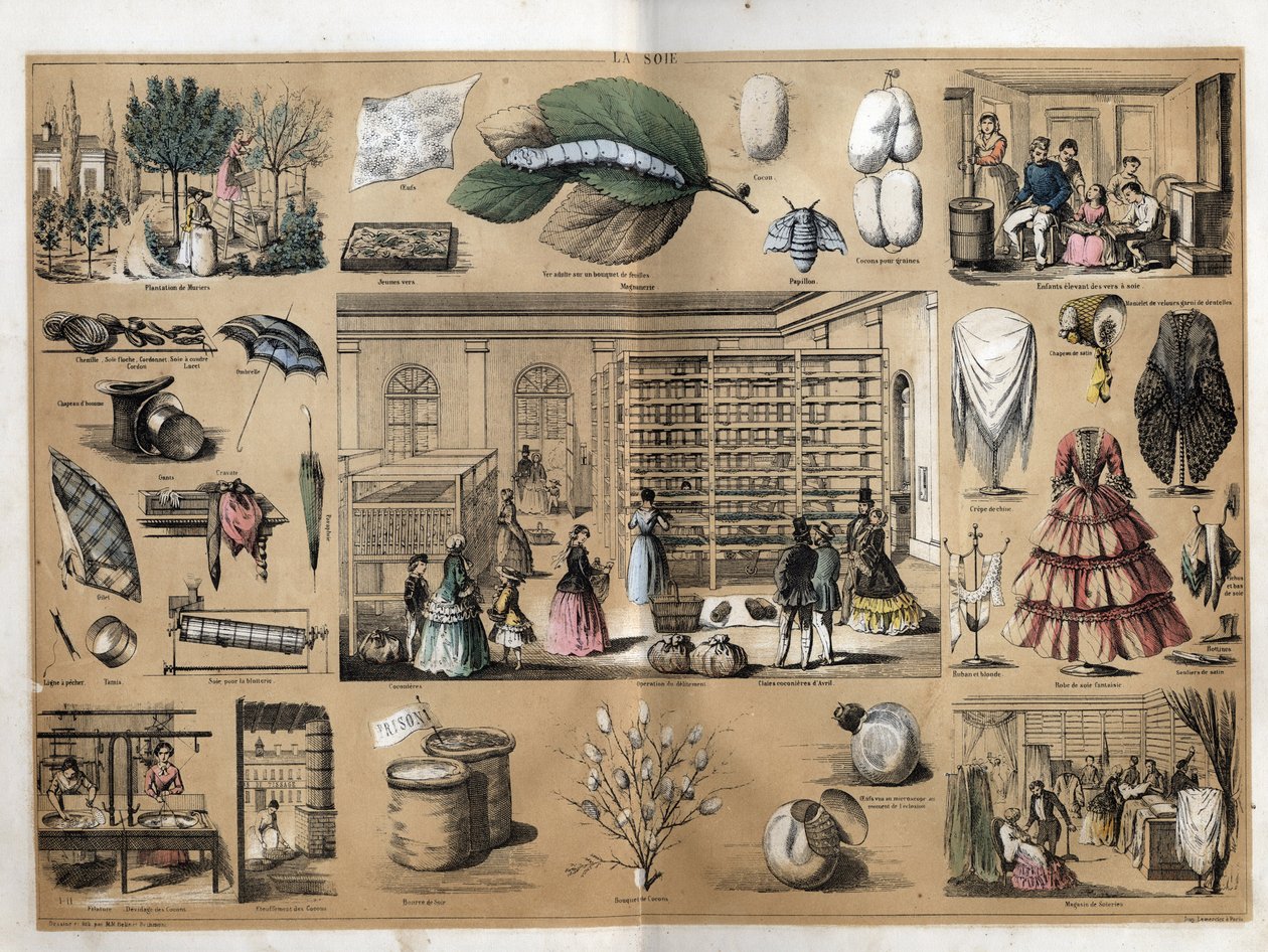 Beschreibung der Kultur und Seidenprodukte: In der Mitte der Magnet und die Seidenraupenzucht. Darstellung der Herstellung von Seide seit der Pflanzung der Maulbeerbäume, der Zucht der Seidenraupen, der Arbeit des Spinnens und der Seidengeschäfte. Tafel „D von French School