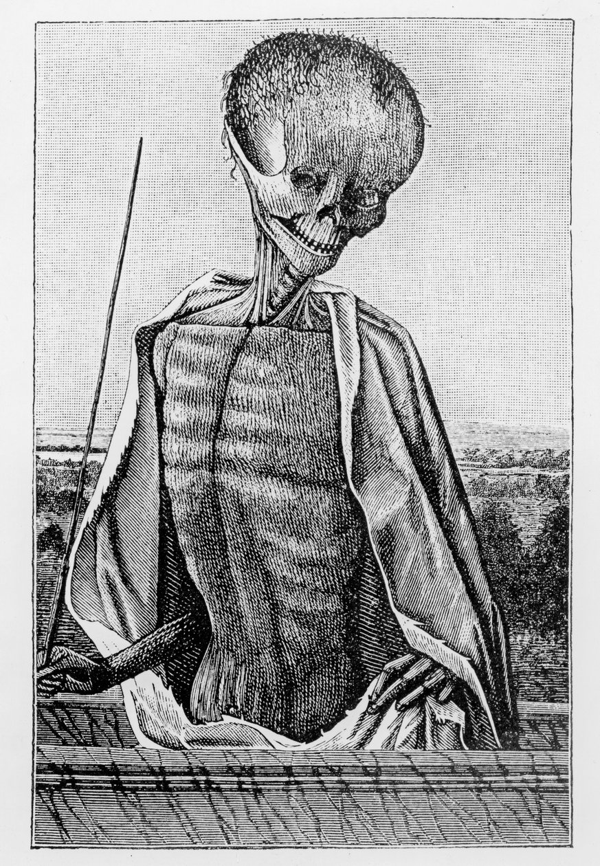 Doktor Tod, aus einem Stundenbuch, Illustration aus Wissenschaft und Literatur im Mittelalter und in der Renaissance, geschrieben und graviert von Paul Lacroix, 1878 von French School