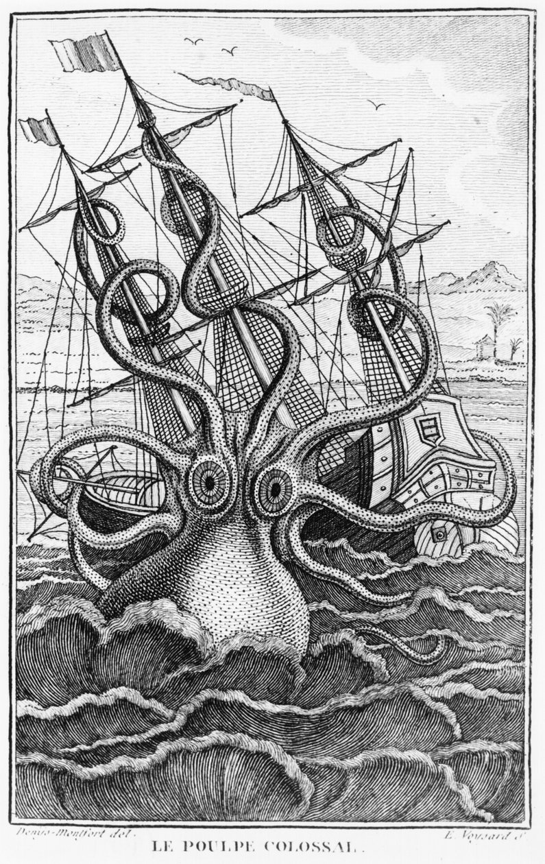 Riesiger Oktopus, Illustration aus L