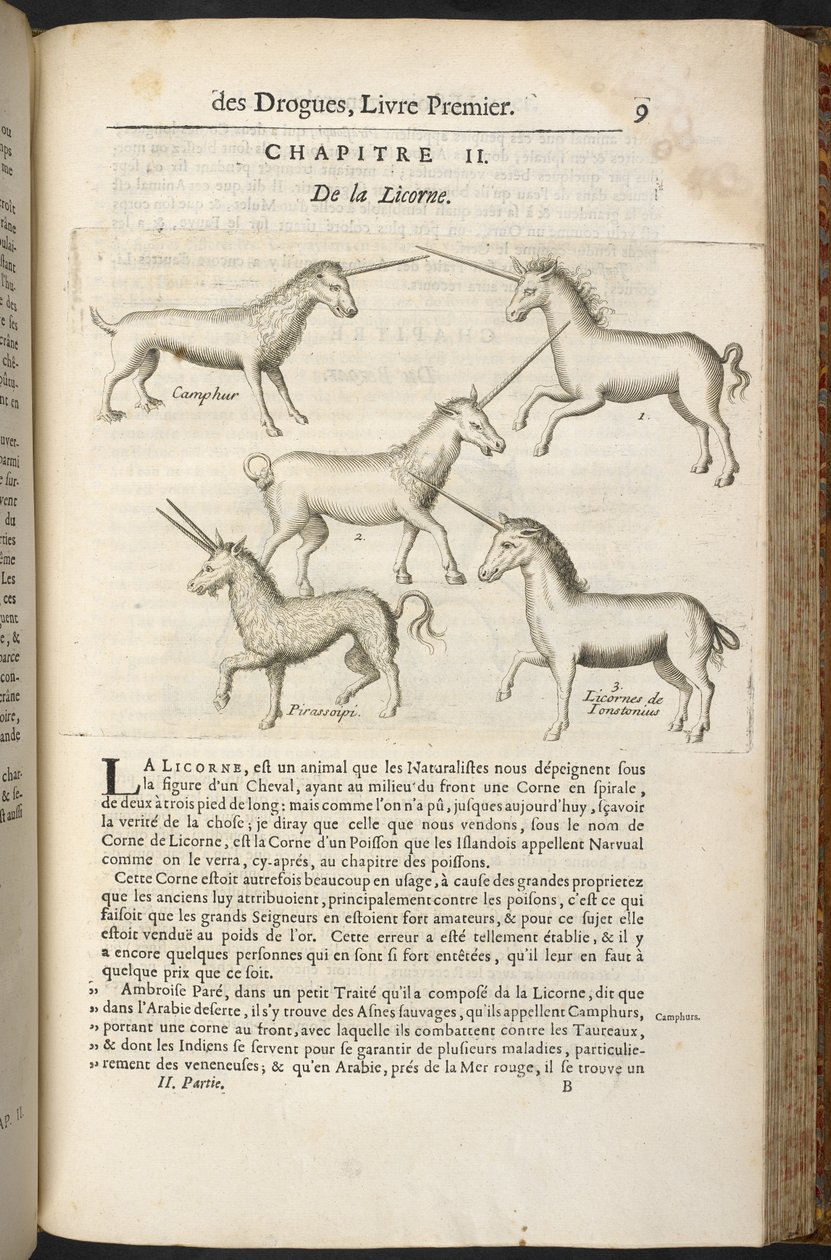 Histoire générale des Drogues, traitant des plantes, des animaux et des mineraux... von Pierre Pomet von French School