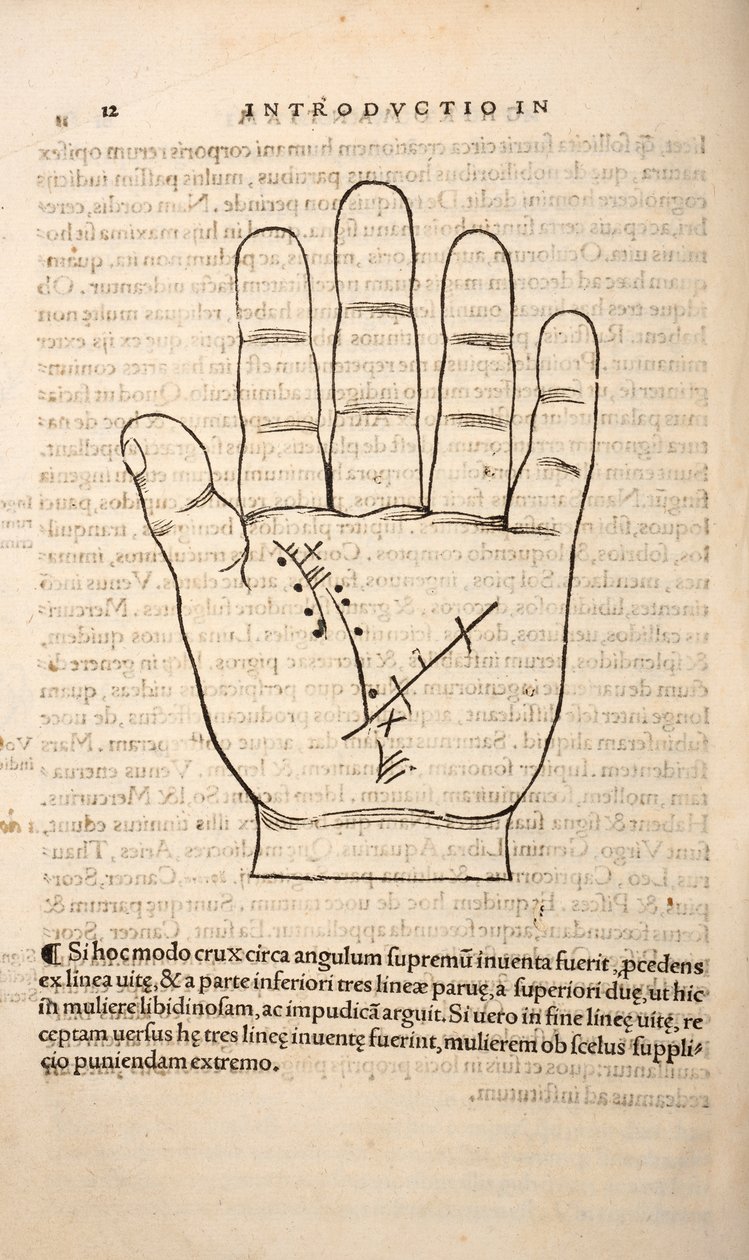 Illustration aus Chiromantia von Joannes Indagioe, Straßburg, 1531 von French School