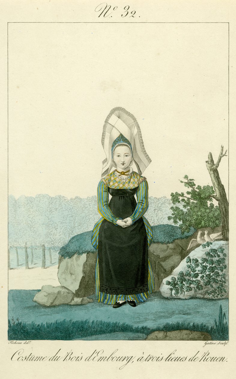 Illustration Nr. 32, Kostüm des Bois d