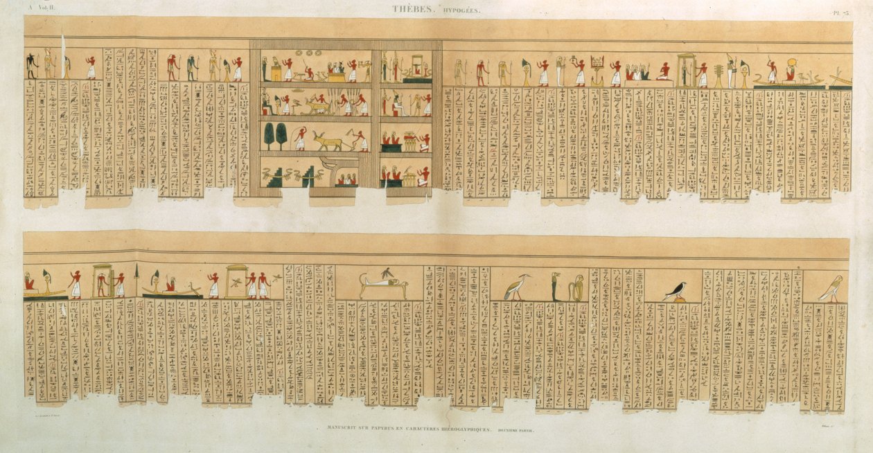 Illustrationen eines Pampus-Manuskripts mit Hieroglyphen, Hypogäen, Theben, Platte 75 aus Band II von Beschreibungen von Ägypten, graviert von Willemin, veröffentlicht 1822 von French School