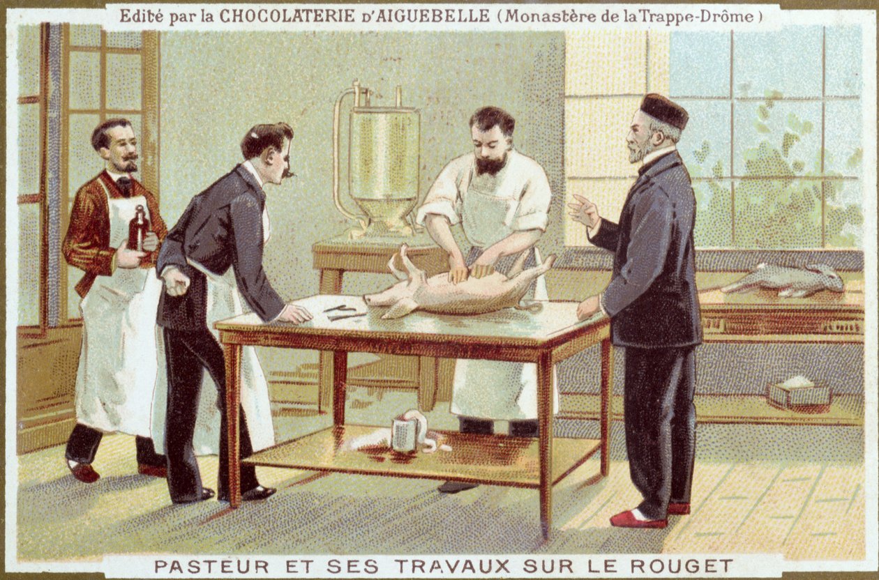 Louis Pasteur (1822-95) bei der Untersuchung von Masern, Werbekarte für die Chocolaterie d
