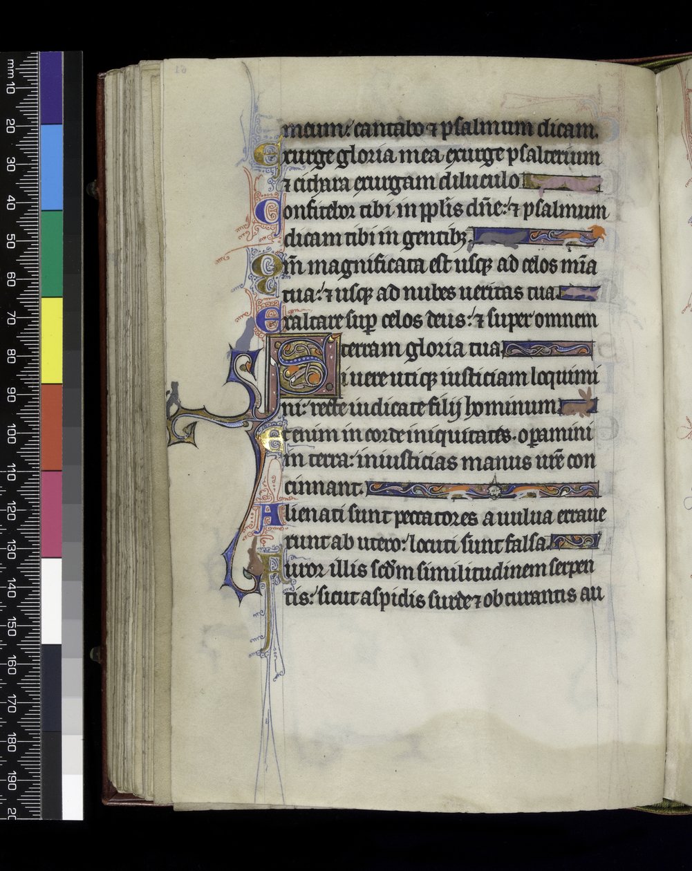 Folio aus dem Psalter und Stundenbuch der Isabella von Frankreich, Paris, um 1265-70 von French School