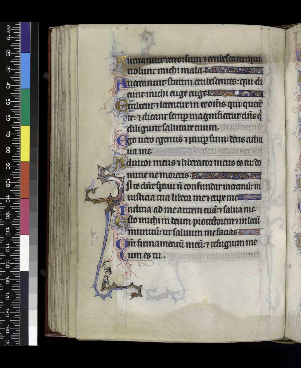 Aus dem Psalter und Stundenbuch der Isabella von Frankreich, Paris, um 1265-70 von French School