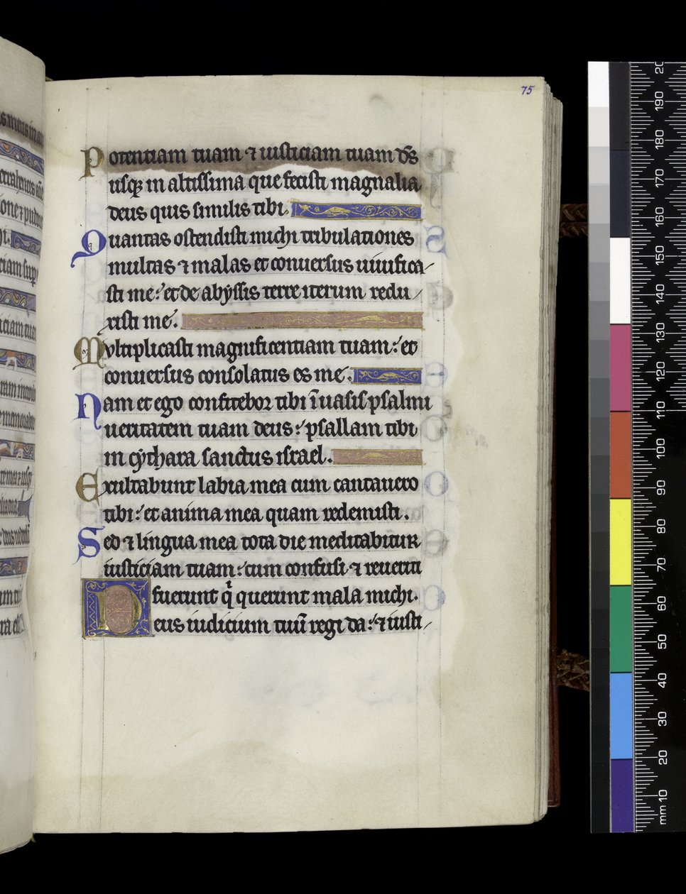 aus dem Psalter und Stundenbuch von Isabella von Frankreich, Paris, ca. 1265-70 von French School