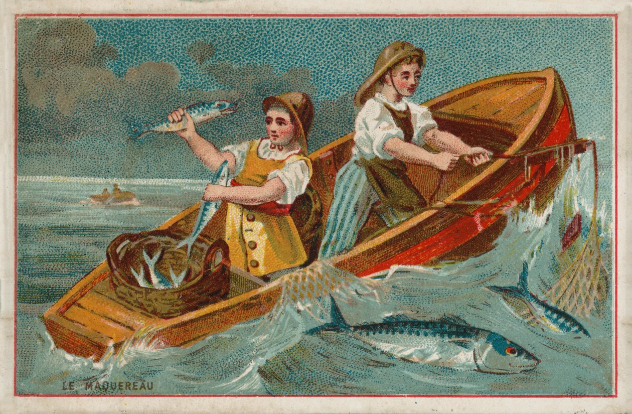 Makrele von French School