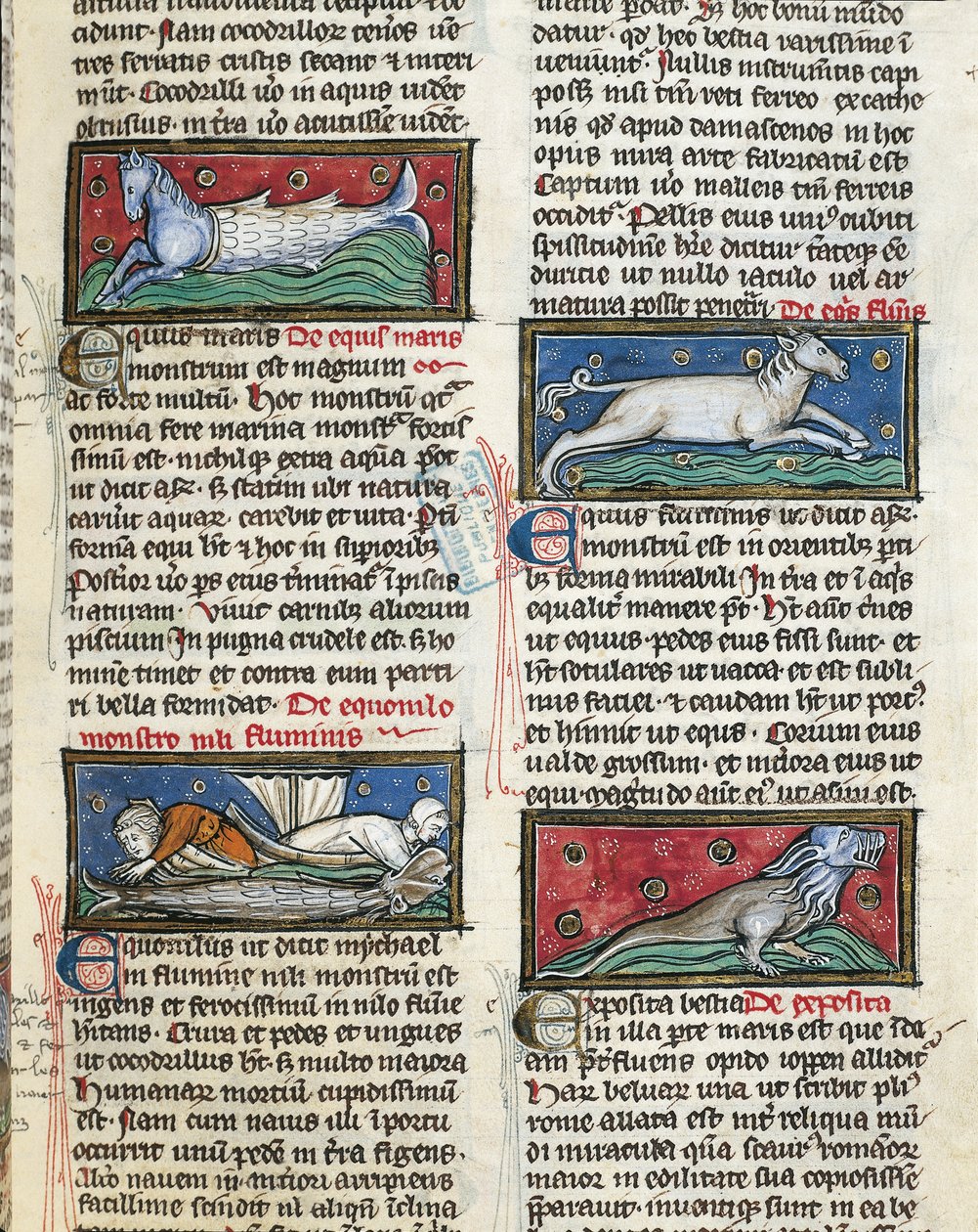 Seemonster, aus 
