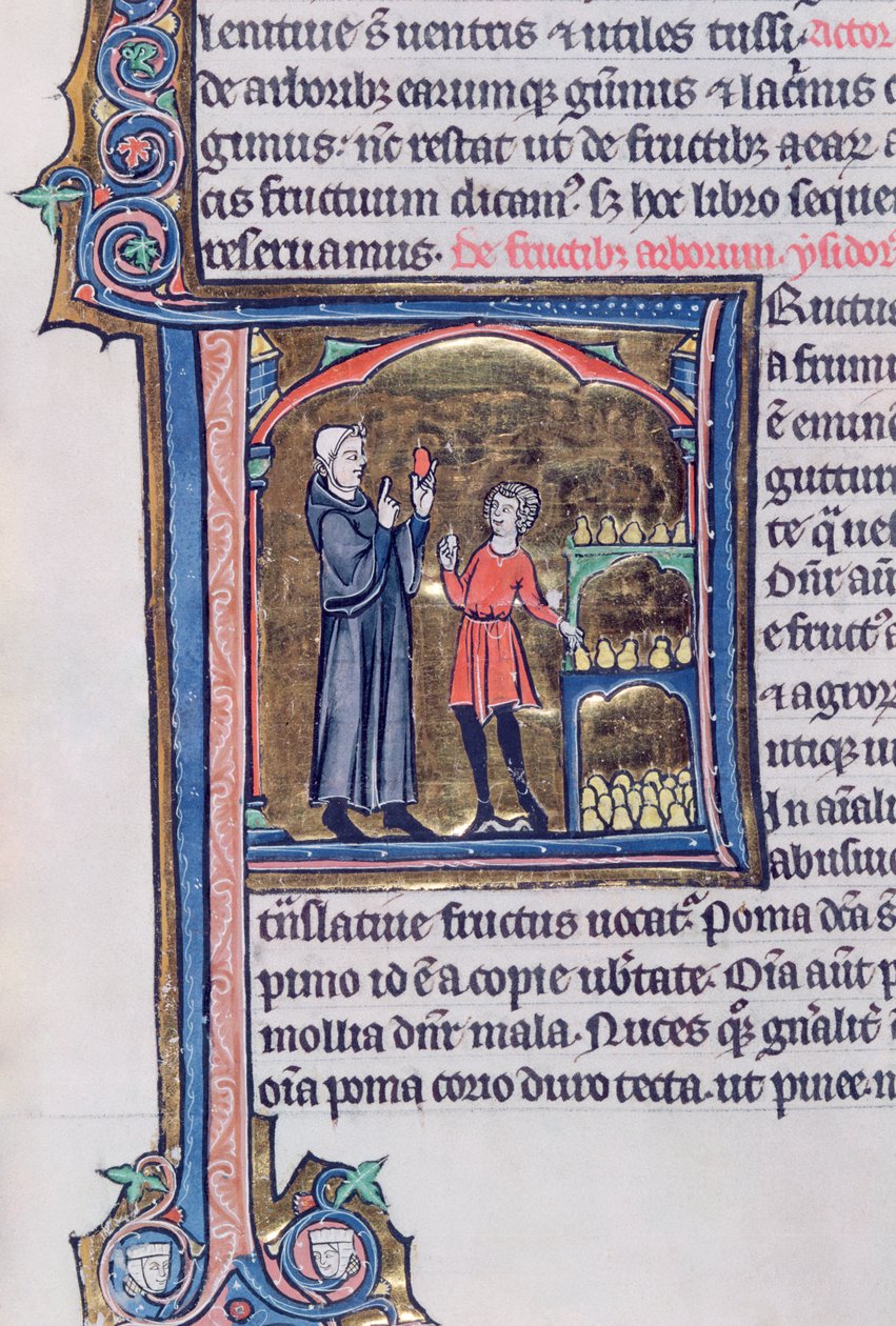 Ms 426 fol.135 Lehre der besten Methode zur Konservierung von Birnen, aus Le Miroir de la Nature von Vincent de Beauvais von French School