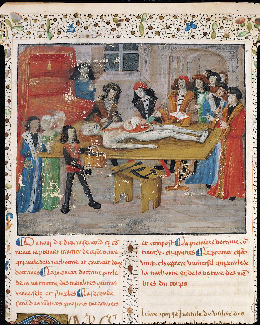 Ms H 184 fol.14v Sezierstunde an der medizinischen Fakultät in Montpellier, aus 