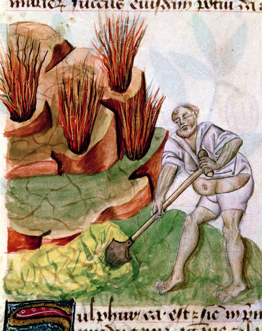 Auf der Suche nach Schwefel, aus Dioscorides De Herbis von French School