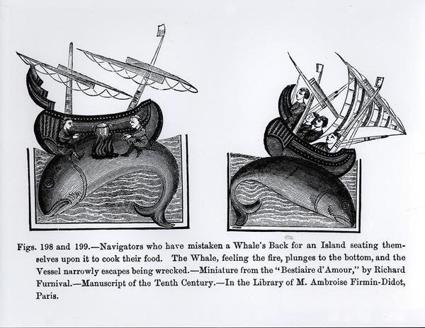 Seefahrer, die einen Walrücken für eine Insel gehalten haben und darauf sitzen, um ihr Essen zu kochen, aus dem Bestiaire d